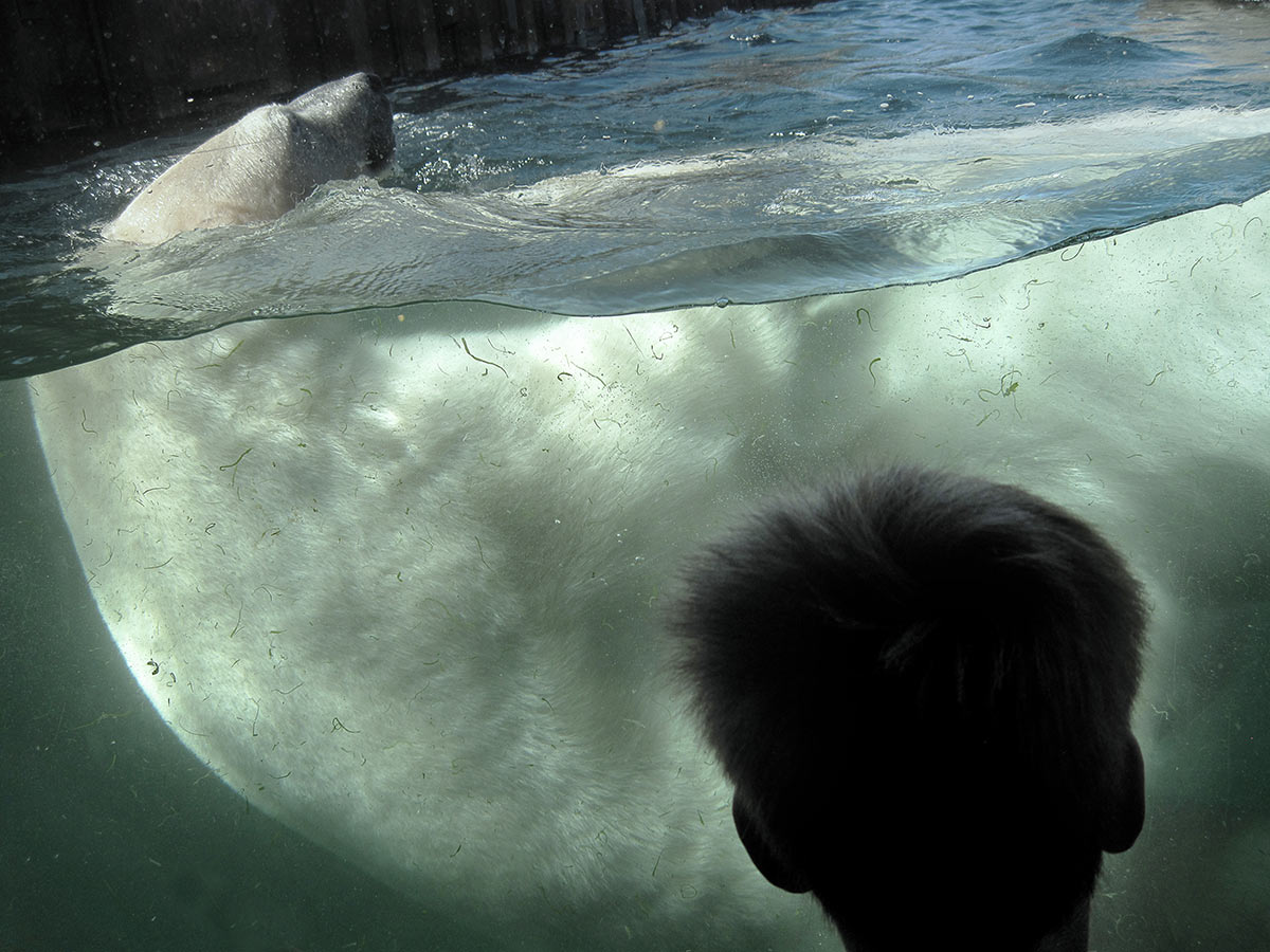 2013-bdj-17_da_koennen_einem_glatt_die_haare_zu_berge_stehen_sh_20 Da können einem die Haare zu Berge stehn (Foto: Sandra Heußinger)