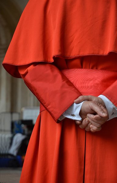 Der Kardinal (Foto: Günter Giese)