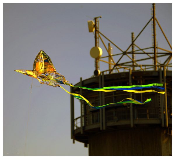 Drachenflug (Foto: Karl-Heinz Richter)