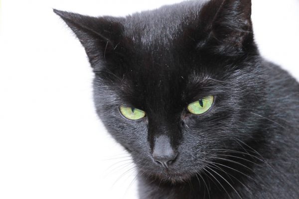 Ich seh dich (Foto: Roland Kastner)