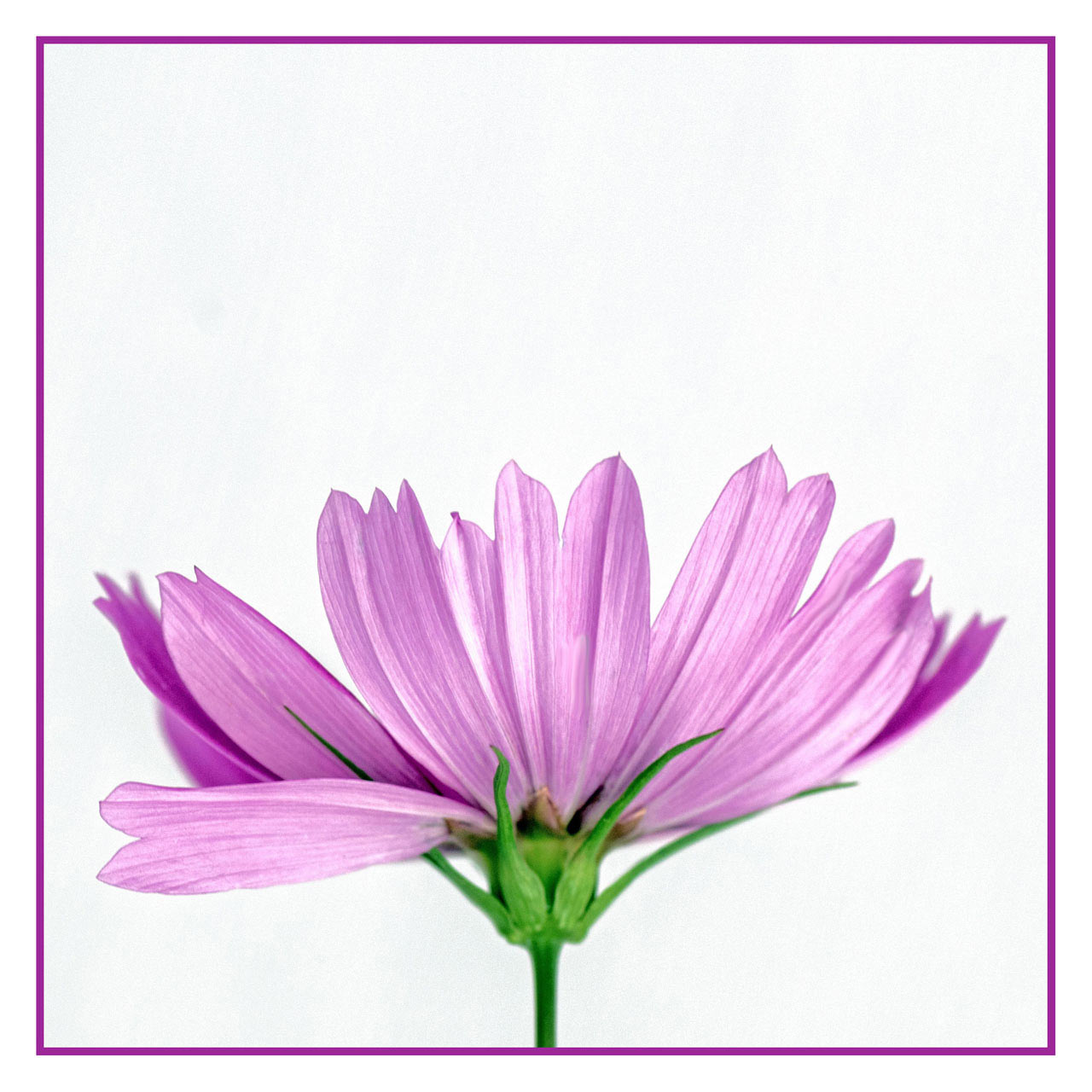 Fotoclub