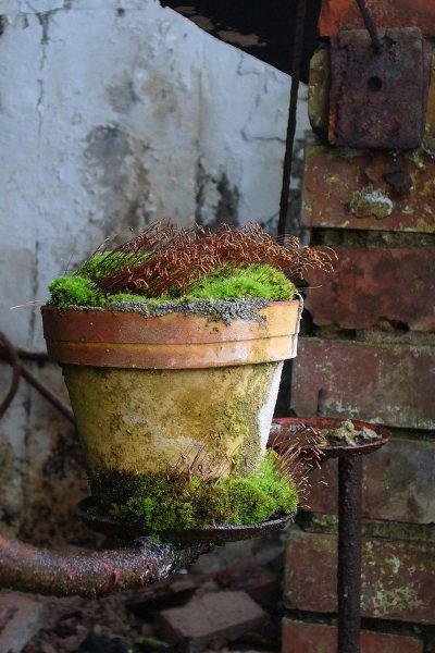 Vergessen (Foto: Carolin Fritz)