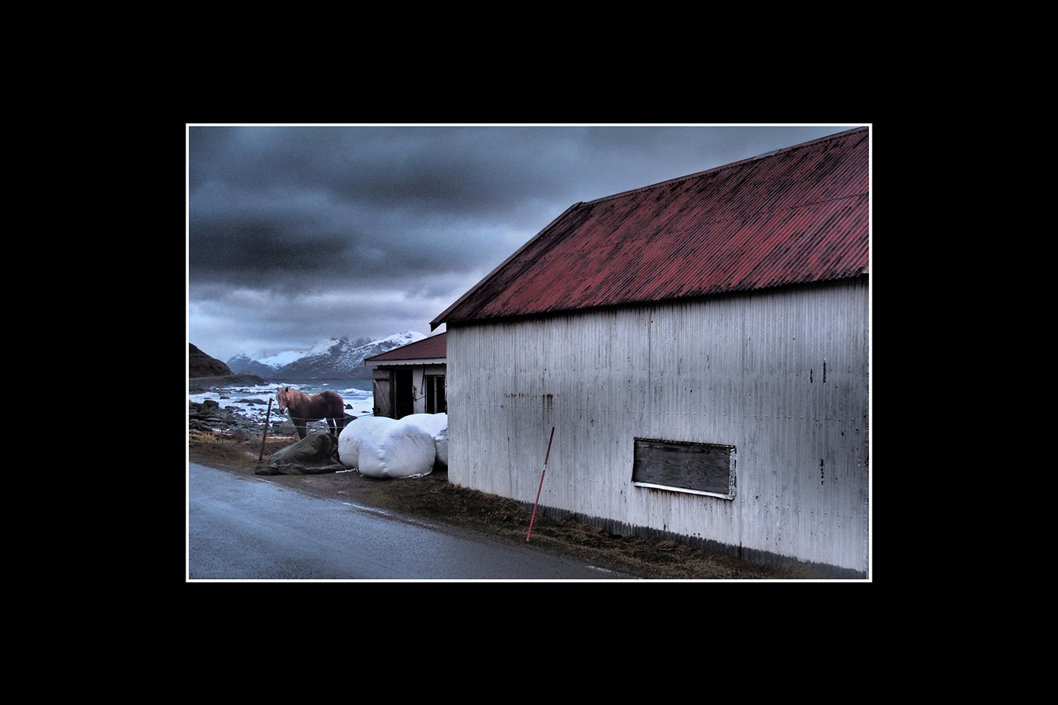 Fotoclub: Bild des Monats 06.2022