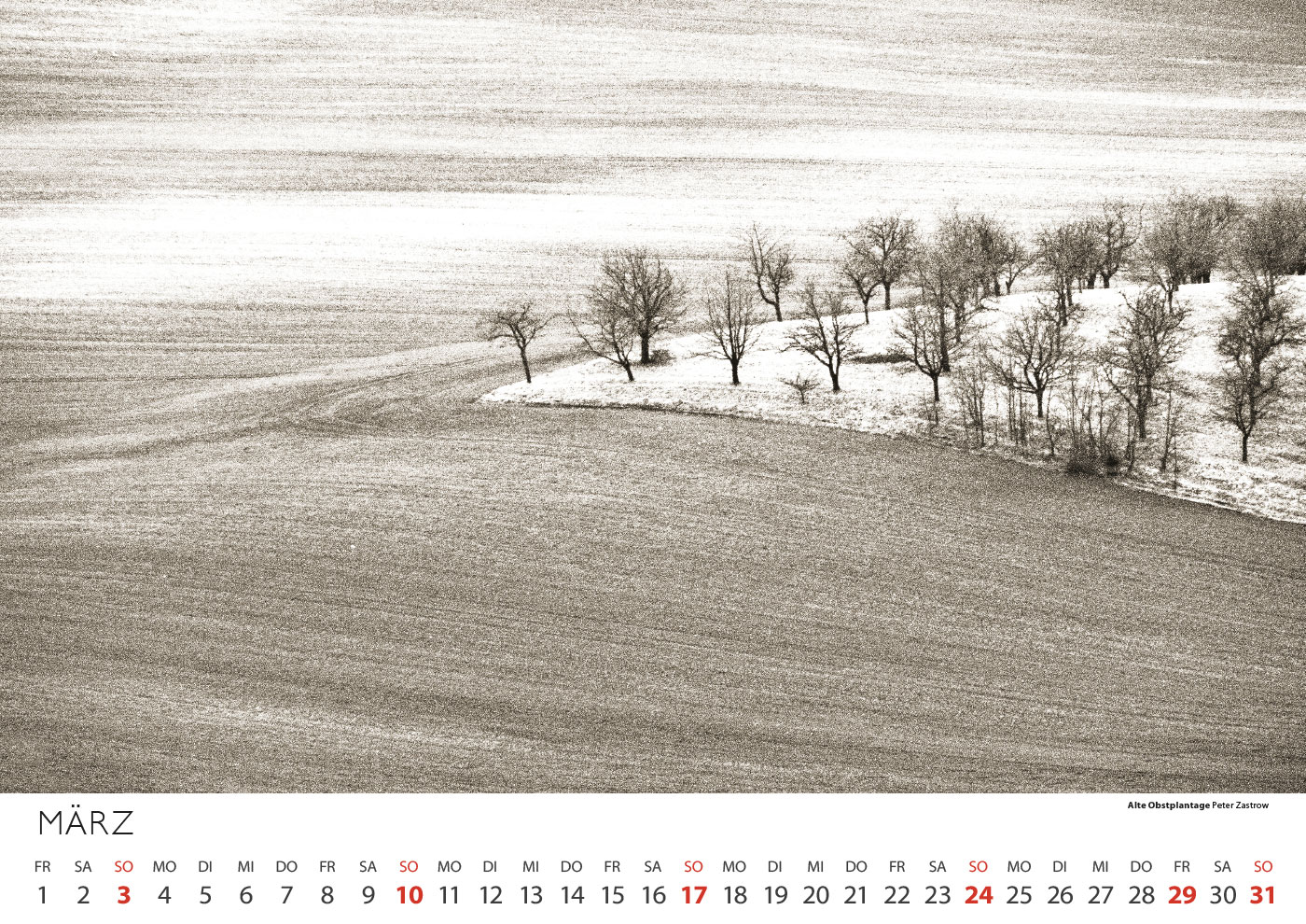 2013-kalender-fotoclub-kontrast-suhl-03 Kalender Fotoclub Kontrast 2013: Alte Obstplantage (Foto: Peter Zastrow)