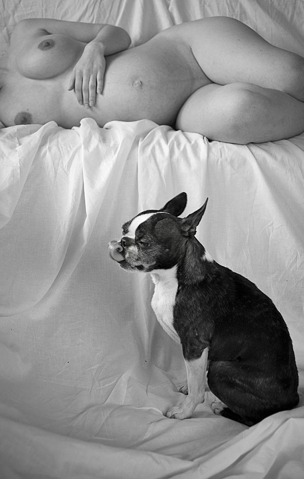 Frauchen ist schwanger (Foto: Rainer Koch)