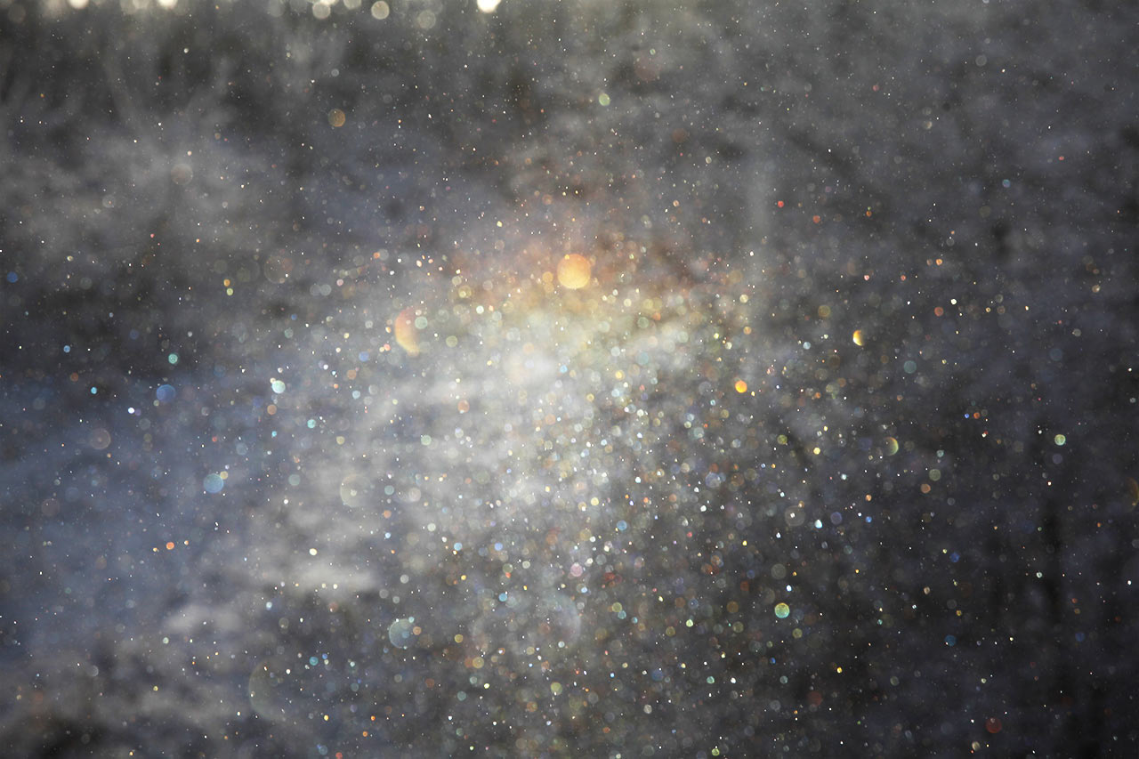 Serie: Schneefall (Foto: Frank Hausdörfer)