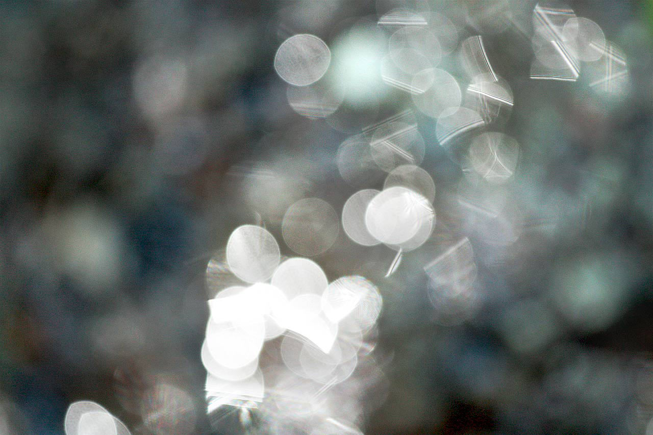 Fotoclub: Fotobearbeitung mit KI