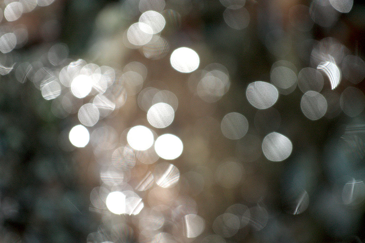 Serie: Schneefall (Foto: Frank Hausdörfer)