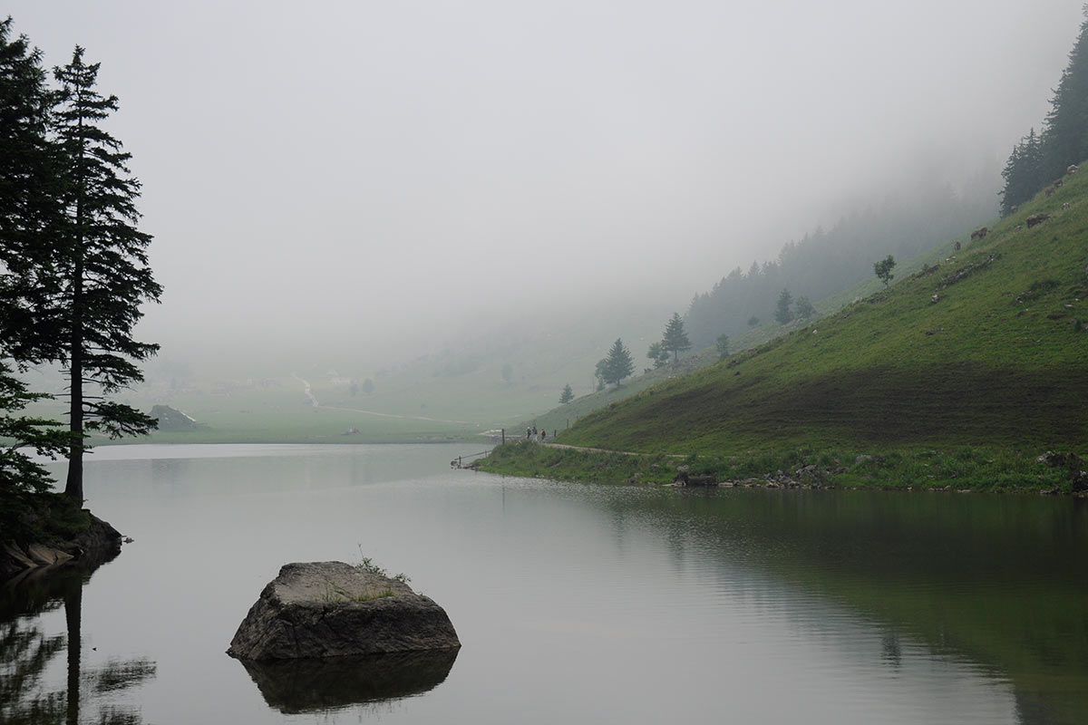 2014-04-28_Morgens_am_See_ik_15 Morgens am See (Foto: Ines Koch)