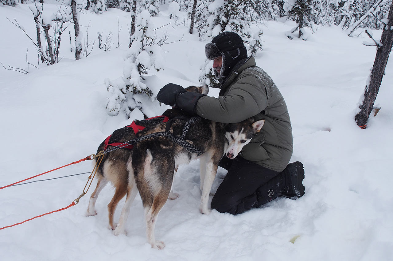 2014-04-zz04_1_EM038382_musher_leithunde_mh_19_1 Serie: Hundeschlitten (Foto: Manuela Hahnebach)