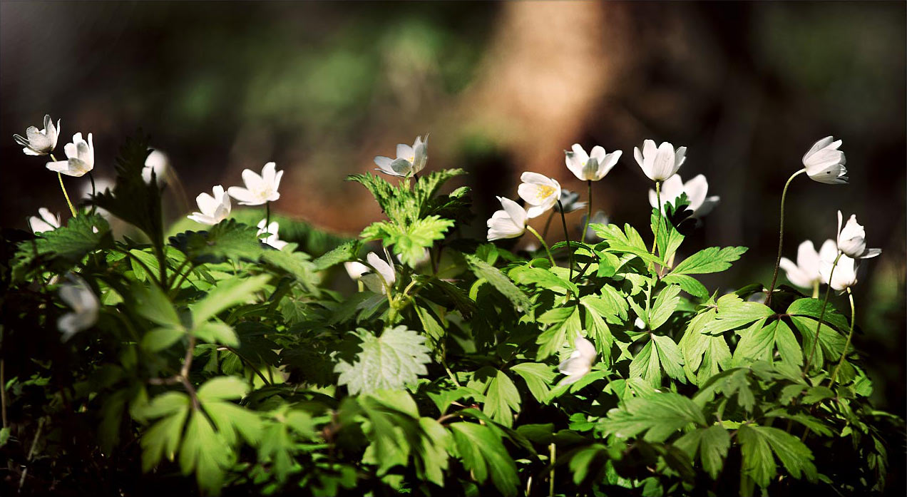 Sommer-Fotoclub bei PMS