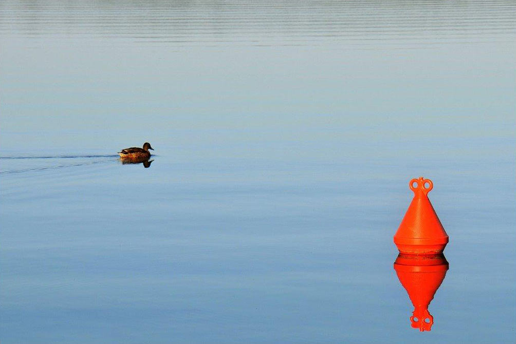 2014-05-08_fahrrinne_1-02-DSC_1644-001_khr_16 Fahrrinne (Foto: Karl-Heinz Richter)