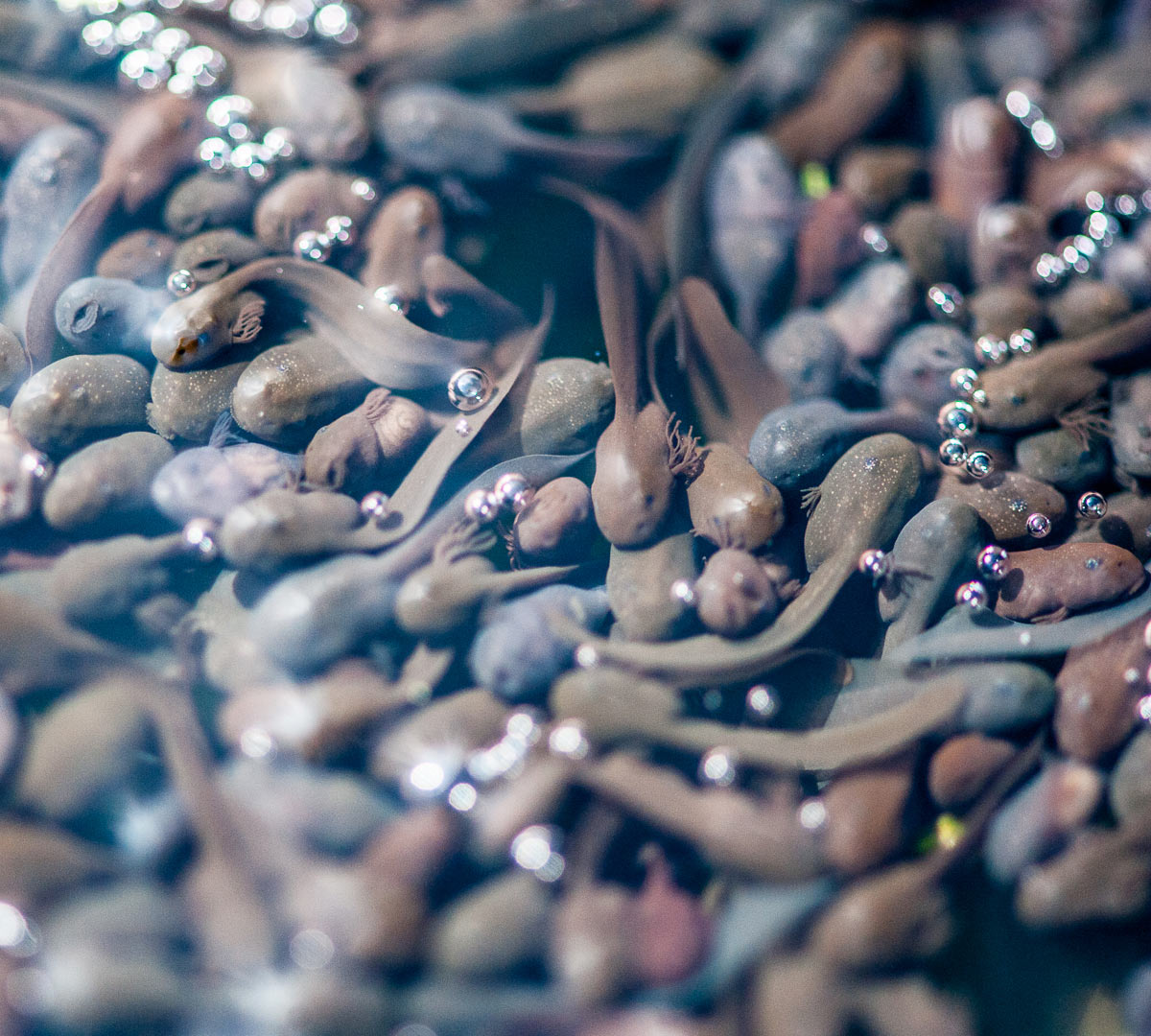 Gedränge (Foto: Uli Pfeufer)