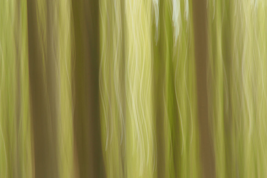 Grüne Welle (Foto: Andreas Kuhrt)