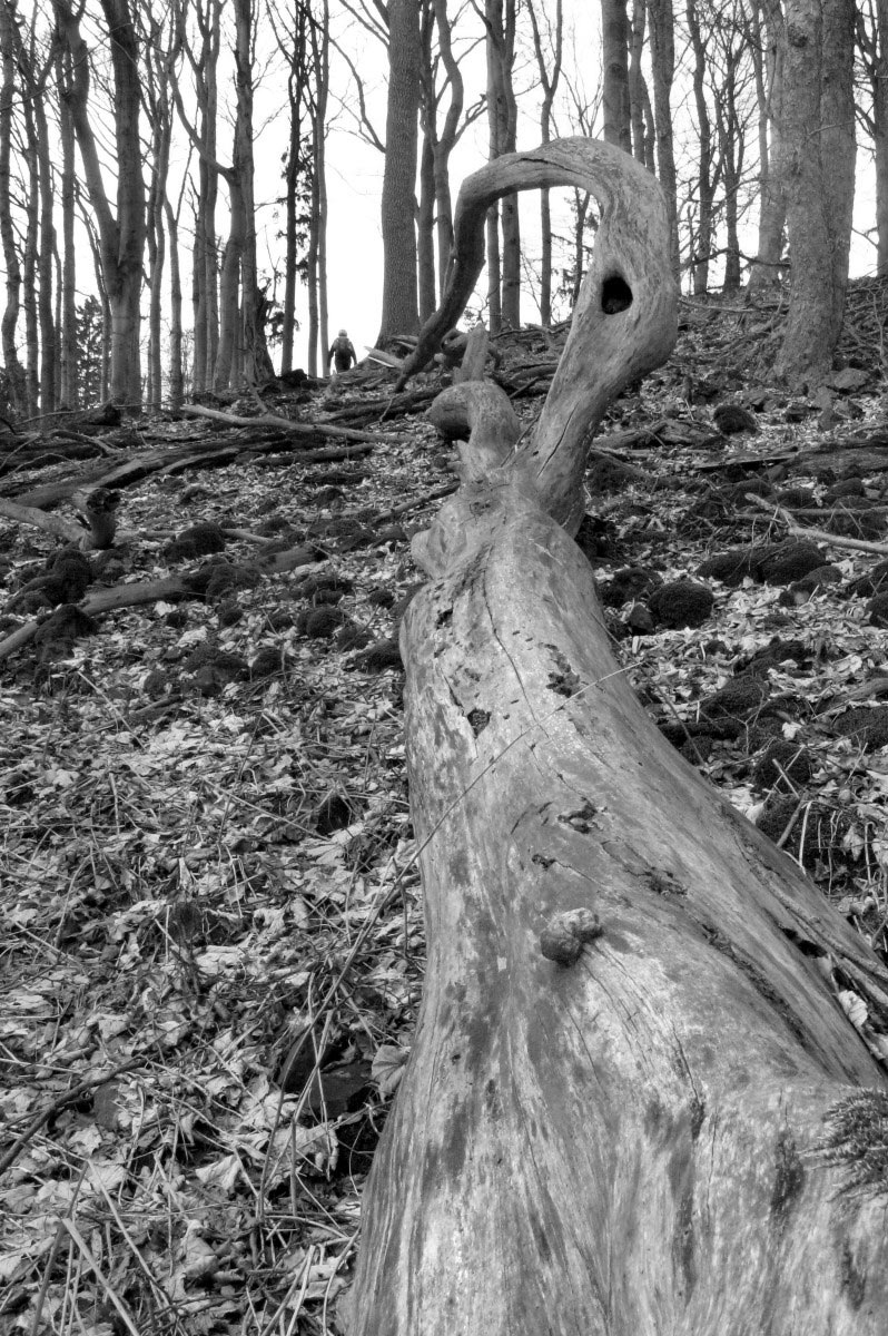 Kleiner Gleichberg (Foto: Peter Maximilian Schmidt)