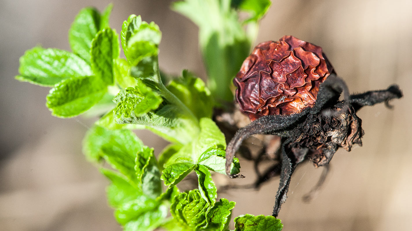 Jung & alt (Foto: Uli Pfeufer)