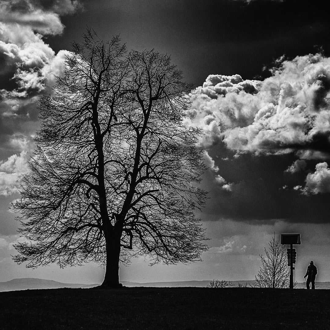 Wolkenblick (Foto: Uli Pfeufer)