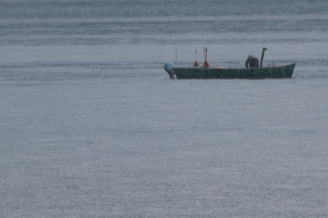 2014-06-11_Fischer_im_Regen_rok_21_3 Fischer im Regen (Foto: Roland Kastner)