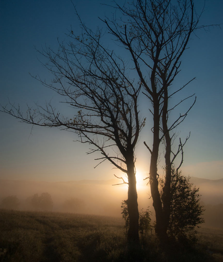 2014-06-13_Fruehlingsmorgen_upf_19 Frühlingsmorgen (Foto: Uli Pfeufer)