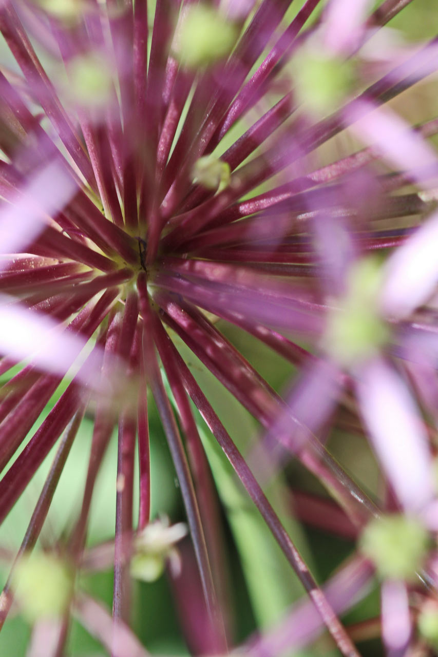 2014-06-17_im_Zentrum_rok_12 Im Zentrum (Foto: Roland Kastner)