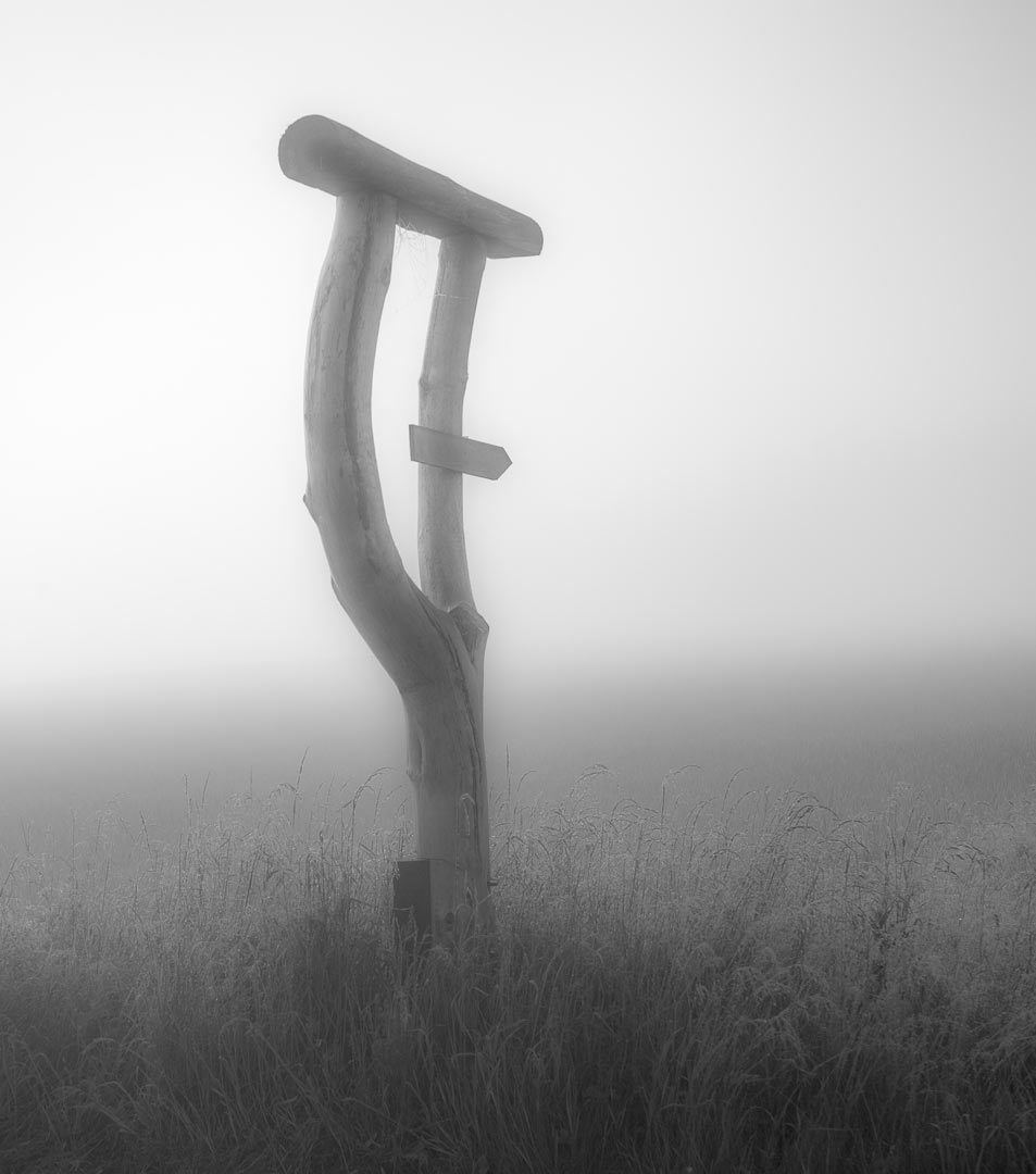 2014-06-26_Nebelweiser_upf_17 Nebelweiser (Foto: Uli Pfeufer)