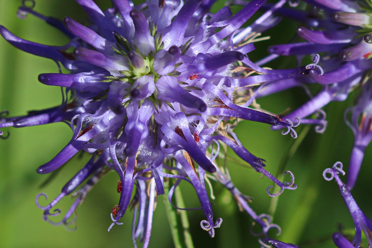 2014-07-Untermieter_rok_14 Untermieter (Foto: Roland Kastner)