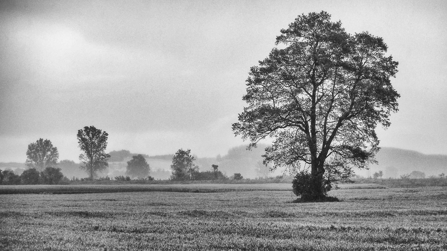 2014-07-wanderpausenblick_upf_20 Wanderpausenblick (Foto: Uli Pfeufer)