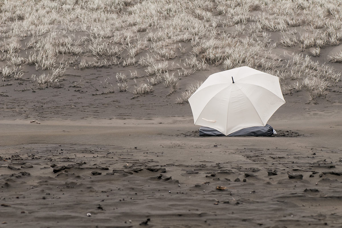 Blickdichter Blickfang (Foto: Ute Zohles)