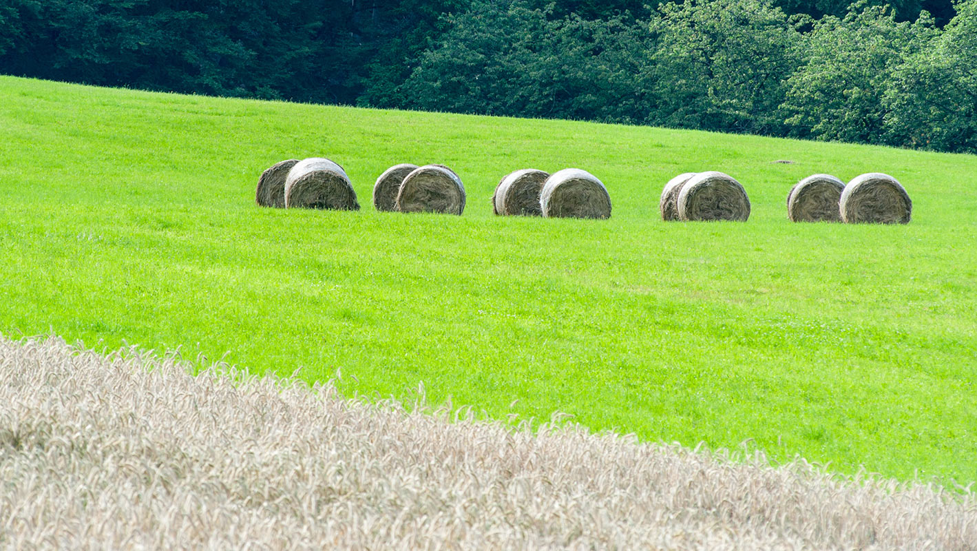 Farbspiel (Foto: Uli Pfeufer)