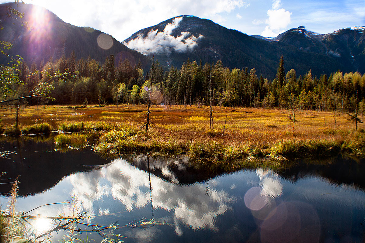 Indian Summer Alaska (Foto: Frank Hausdörfer)