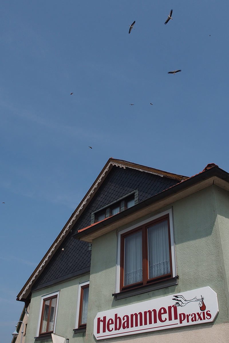 Warteschleife (Foto: Andreas Kuhrt)