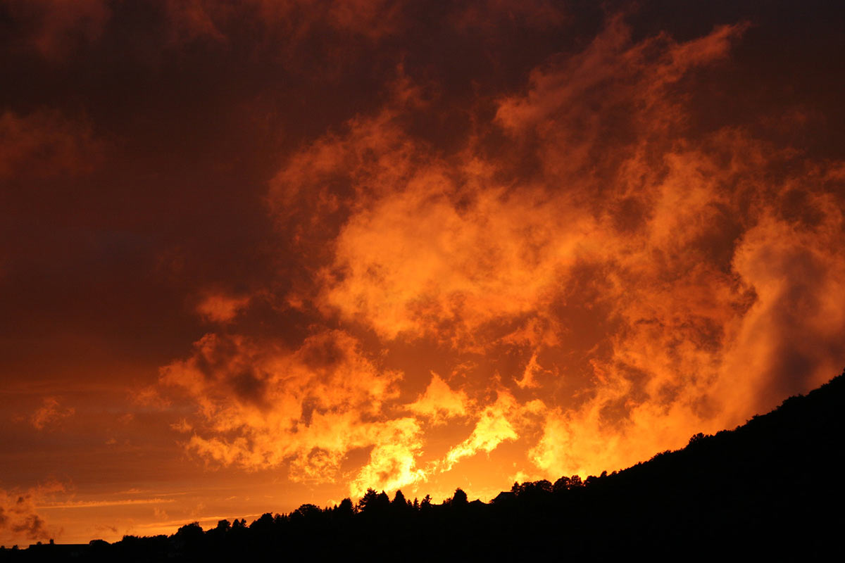 Serie: Der Domberg brennt (Foto: Carolin Fritz)