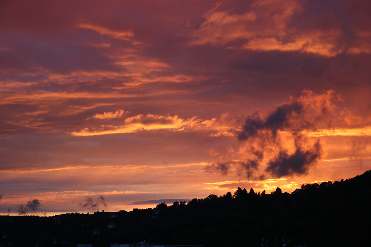 Serie: Der Domberg brennt (Foto: Carolin Fritz)