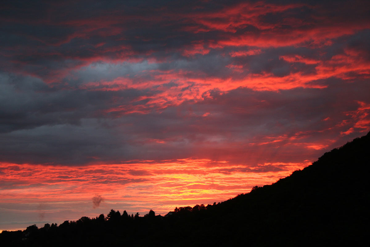 Serie: Der Domberg brennt (Foto: Carolin Fritz)
