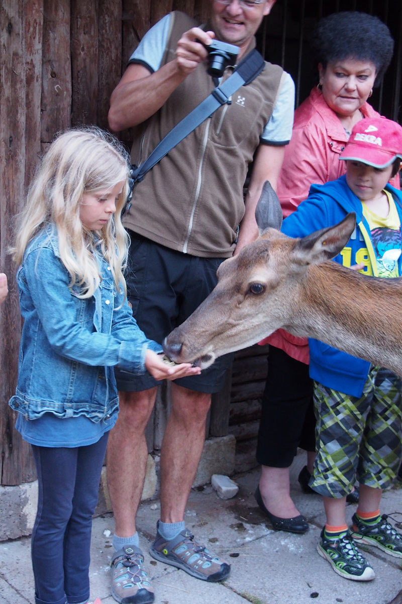 Serie: Fütterung im Tierpark (Foto: Karl-Heinz Richter)