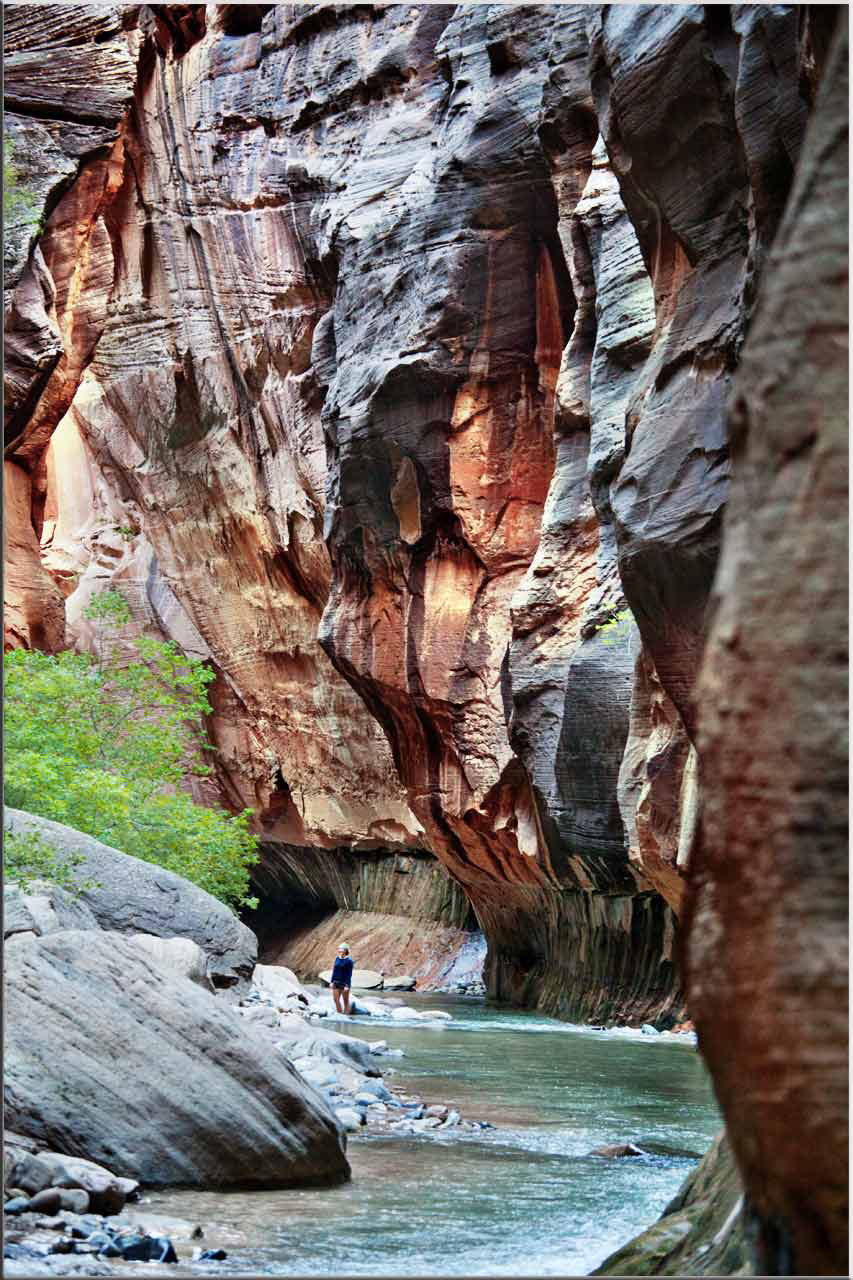 2014-10-31_zion_canyon_fh_15 Zion Canyon (Foto: Frank Hausdörfer)