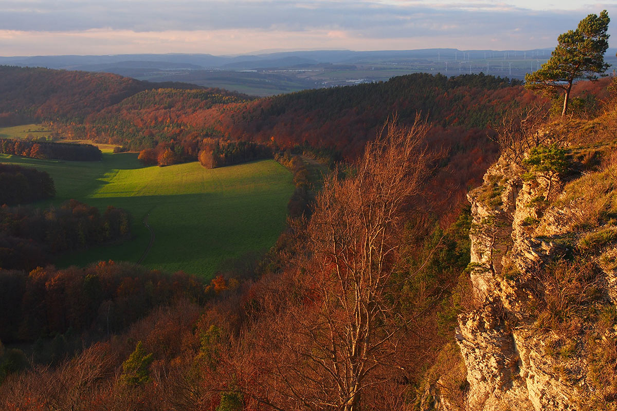 2014-11-01_abendlicht_am_abbruch_p0025057_ak_15 Abendlich am Hörselberg (Foto: Andreas Kuhrt)