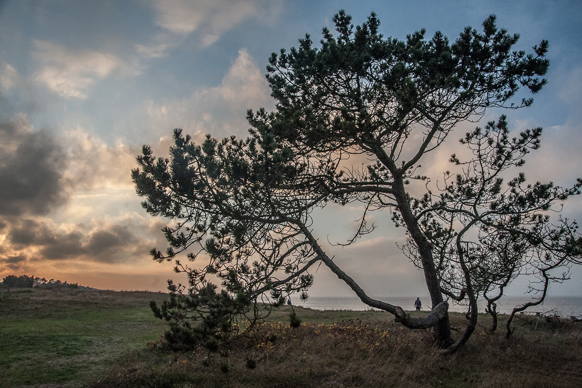 Fotoclub: Bild des Quartals 3.2025