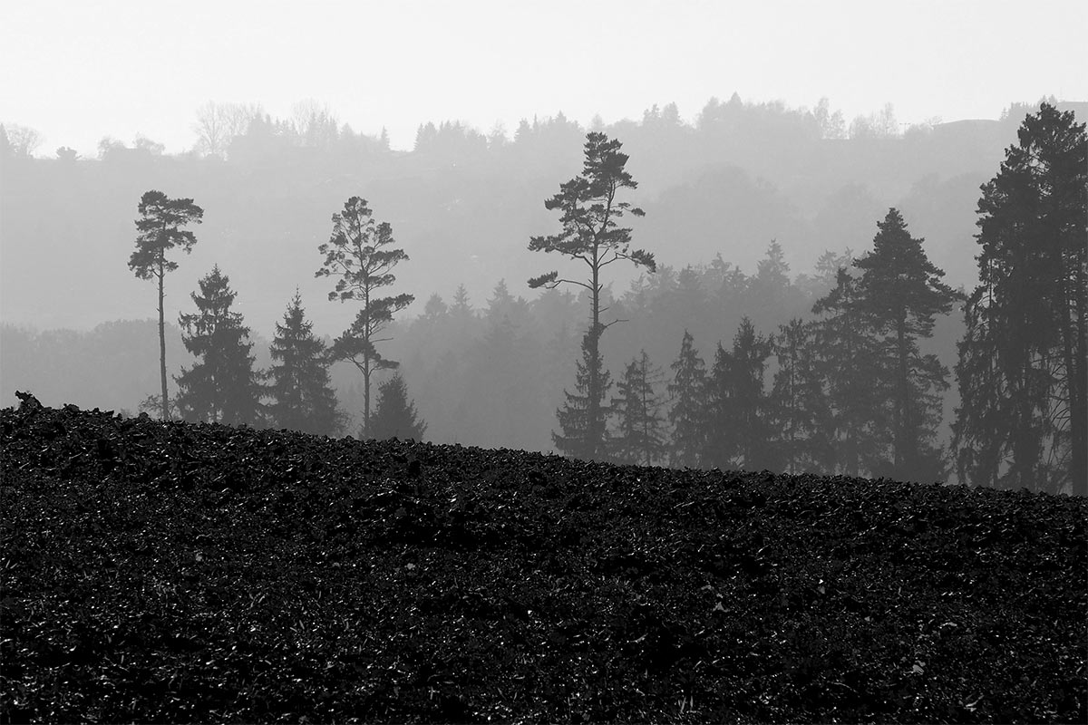 2014-11-15_geteilter_ausblick_p0024880bsw_ak_16 Geteilter Ausblick (Foto: Andreas Kuhrt)