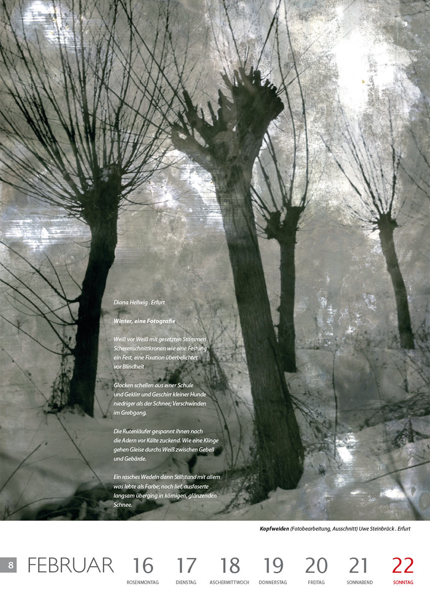 Winter, eine Fotografie (Text: Diana Hellwig) | Kopfweiden (Foto: Uwe Steinbrück) . Literaturkalender Thüringer Ansichten 2015