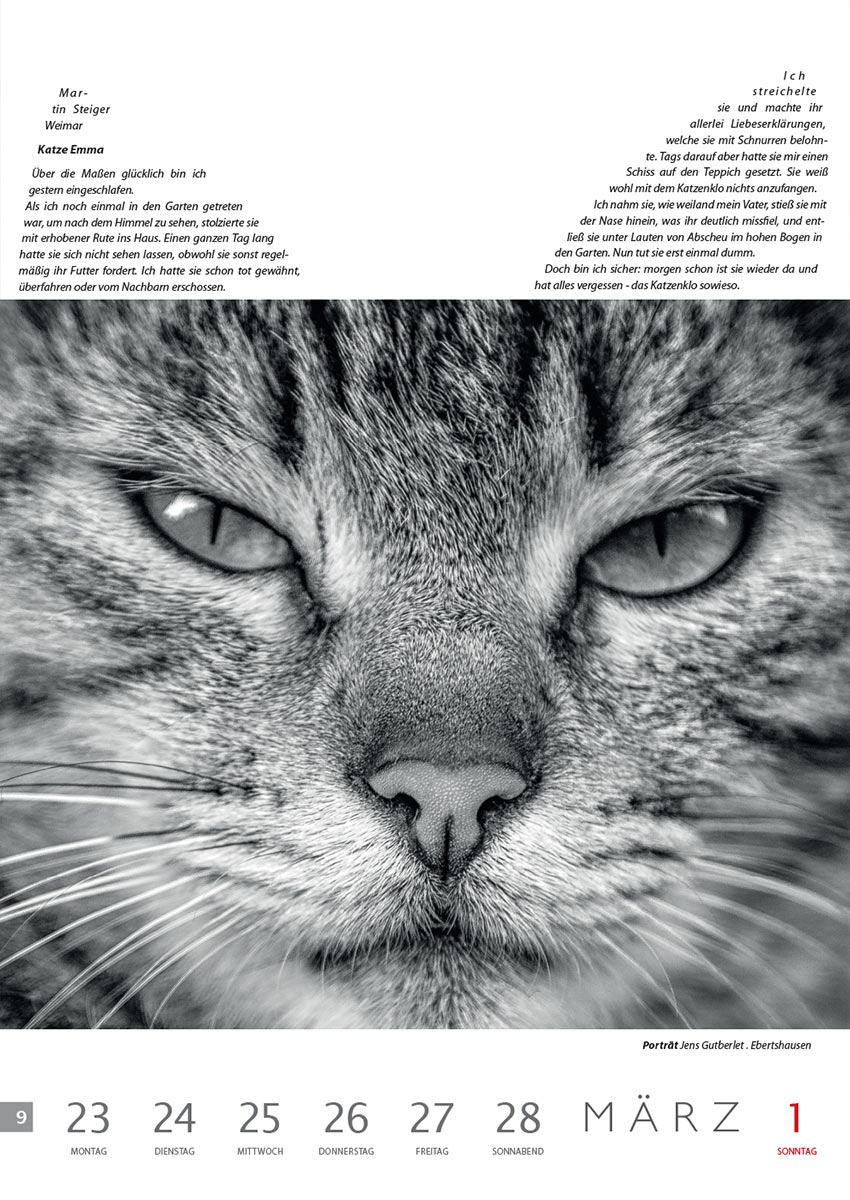 Katze Emma (Text: Martin Steiger) | Porträt (Foto: Jens Gutberlet) . Literaturkalender Thüringer Ansichten 2015