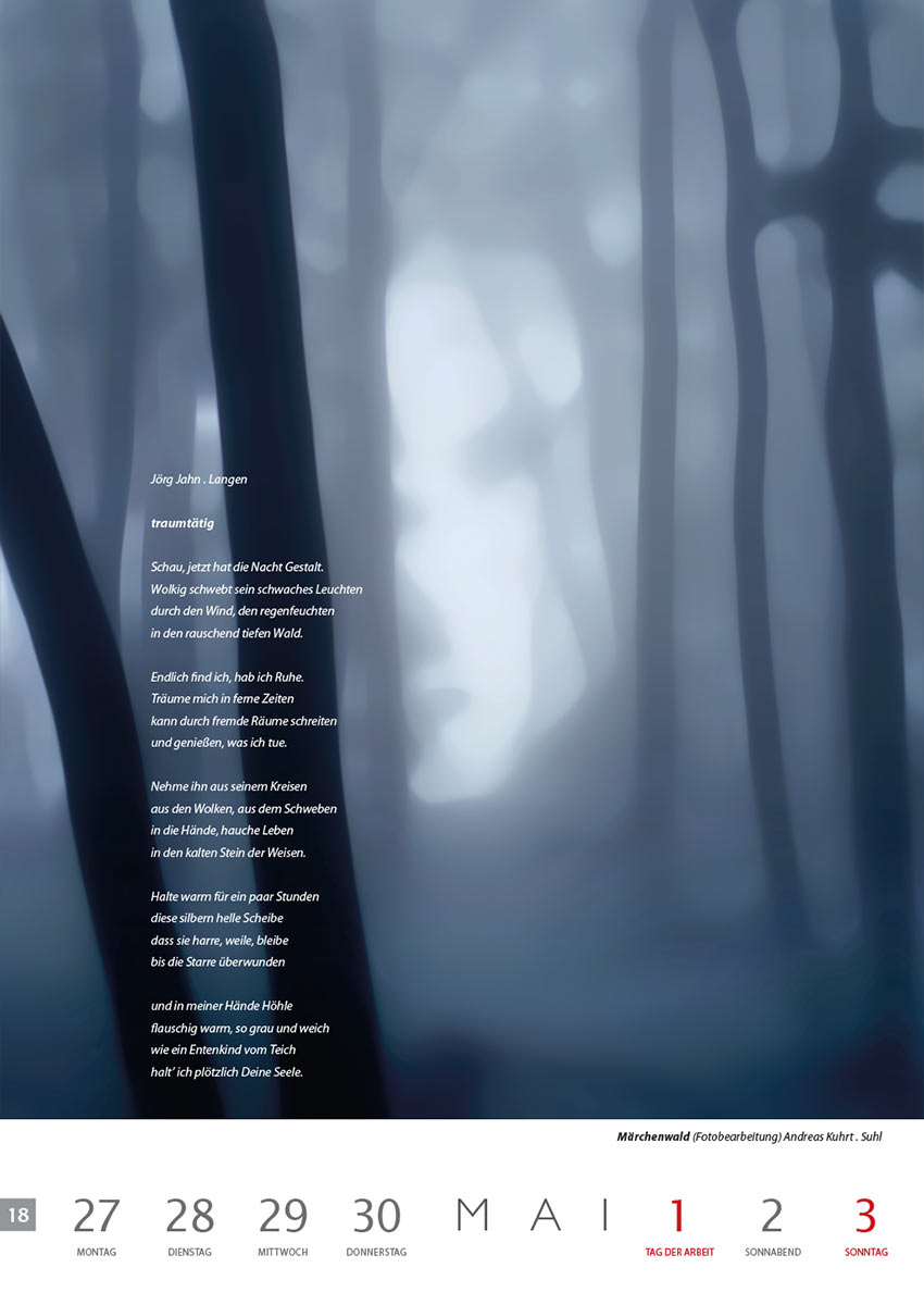 traumtätig (Text: Jörg Jahn) | Märchenwald (Foto: Andreas Kuhrt) . Literaturkalender Thüringer Ansichten 2015