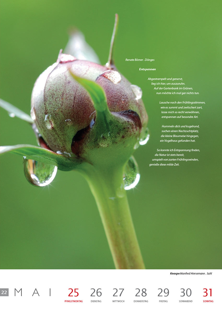Entspannen (Text: Renate Börner) | Knospe (Foto: Manfred Hiersemann) . Literaturkalender Thüringer Ansichten 2015
