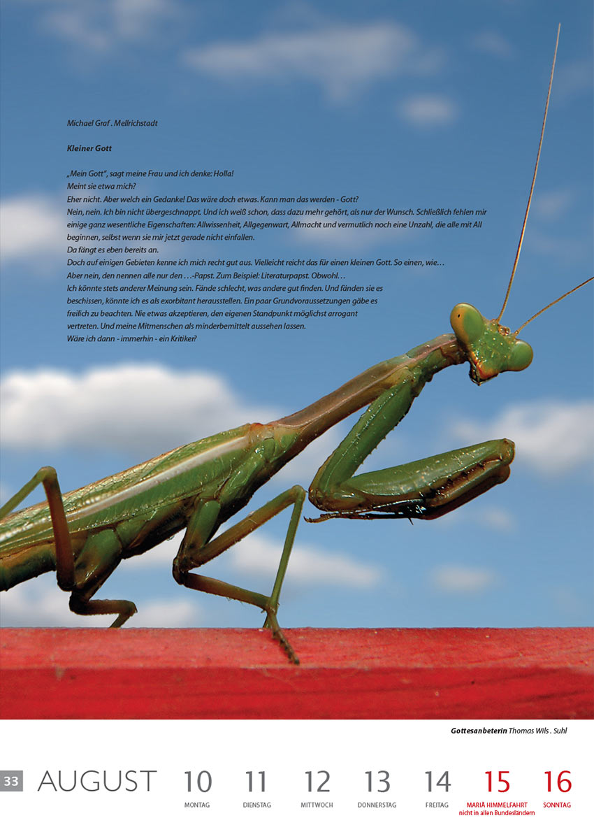 Kleiner Gott (Text: Michael Graf) | Gottesanbeterin (Foto: Thomas Wills) . Literaturkalender Thüringer Ansichten 2015