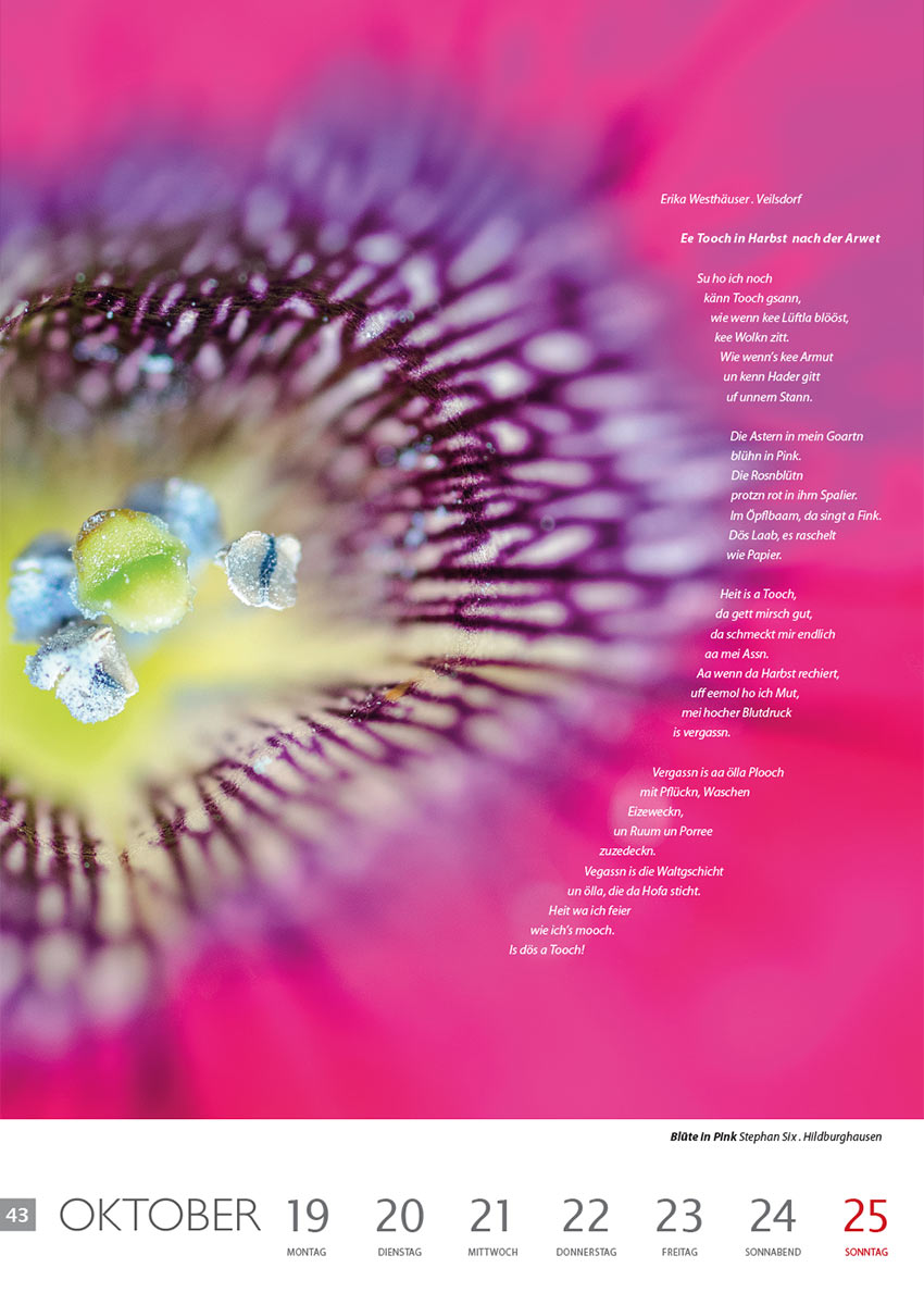Ee Tooch in Harbst nach der Arwet (Text: Erika Westhäuser) | Blüte in Pink (Foto: Stephan Six) . Literaturkalender Thüringer Ansichten 2015