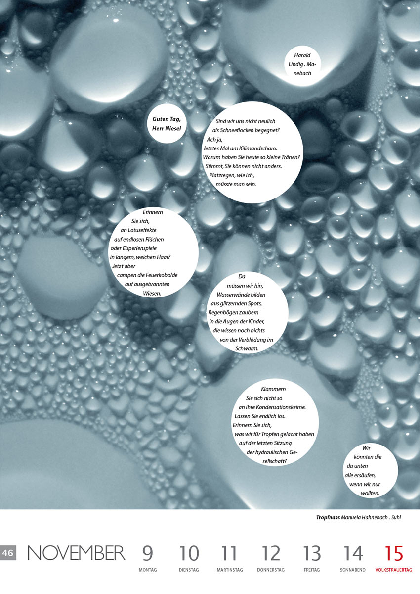 Guten Tag, Herr Niesel (Text: Harald Lindig) | Tropfnass (Foto: Manuela Hahnebach) . Literaturkalender Thüringer Ansichten 2015