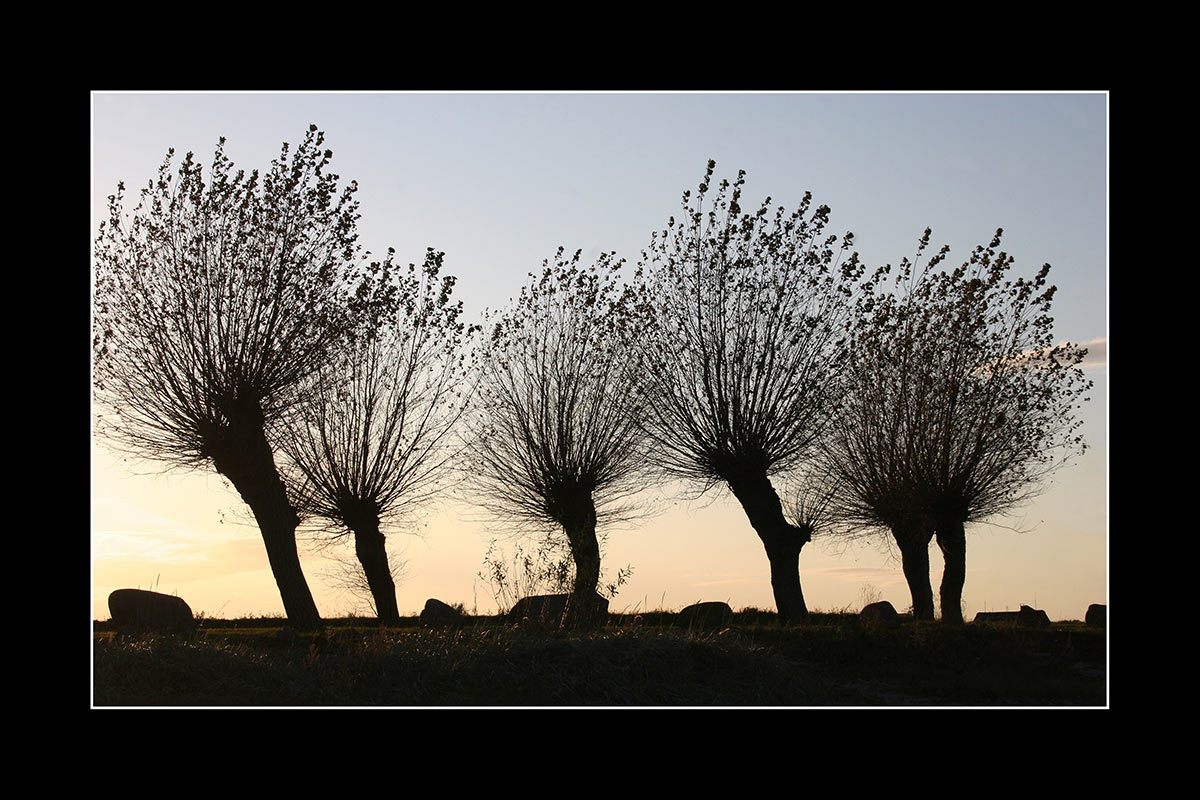 Fotoclub