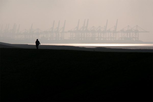 Deichläufer (Foto: Andreas Kuhrt)