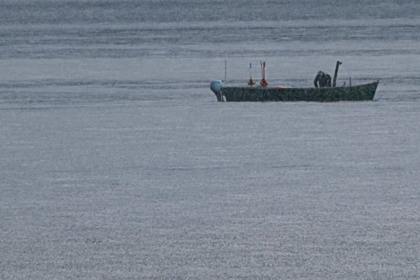 Fischer im Regen (Foto: Roland Kastner)