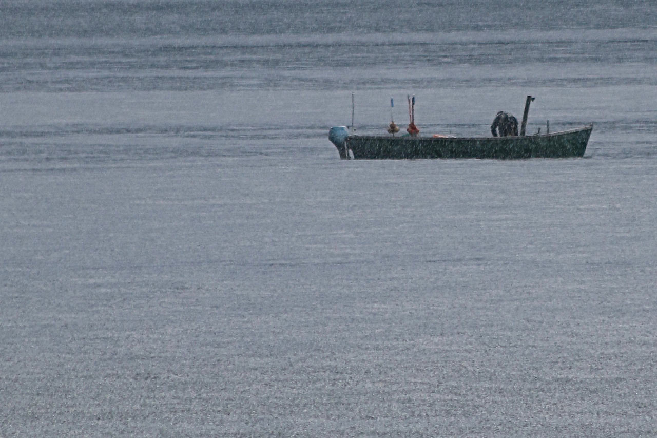 2014-bdj-28-fischer-im-regen-rok-4.75 Fischer im Regen (Foto: Roland Kastner)